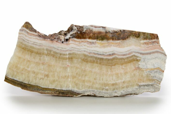 Polished Banded Travertine Slab - New Mexico #324318